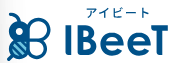 IBeeT(アイビート)